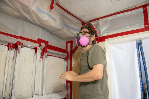 Best Emergency Mold Remediation  in Thompson Falls, MT